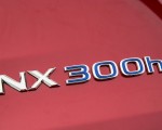 2020 Lexus NX 300h Badge Wallpapers 150x120 (8)