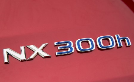 2020 Lexus NX 300h Badge Wallpapers 450x275 (8)