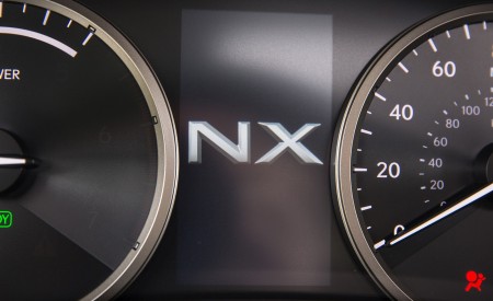 2020 Lexus NX 300h Instrument Cluster Wallpapers 450x275 (12)