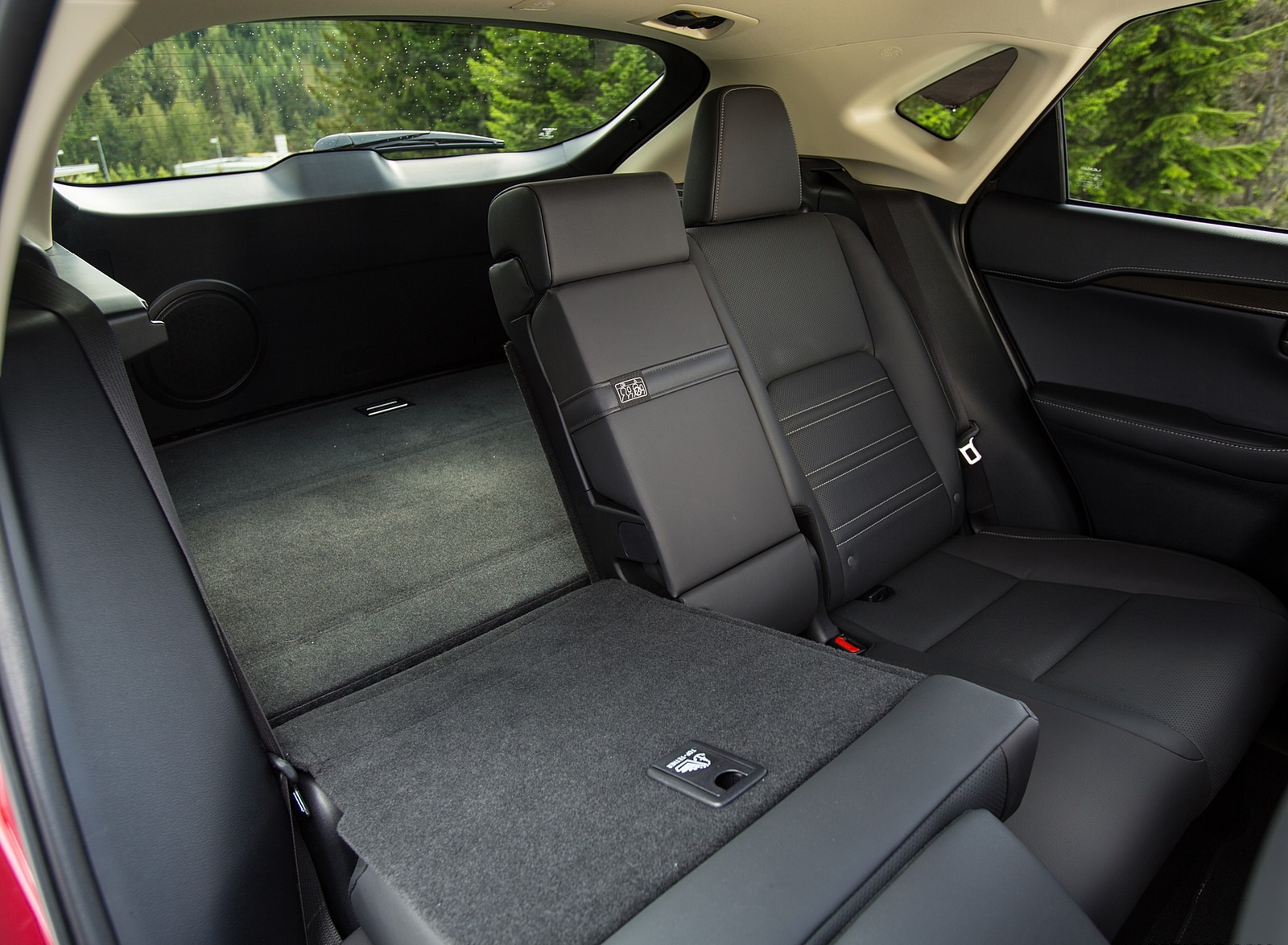 2020 Lexus NX 300h Interior Rear Seats Wallpapers #19 of 23