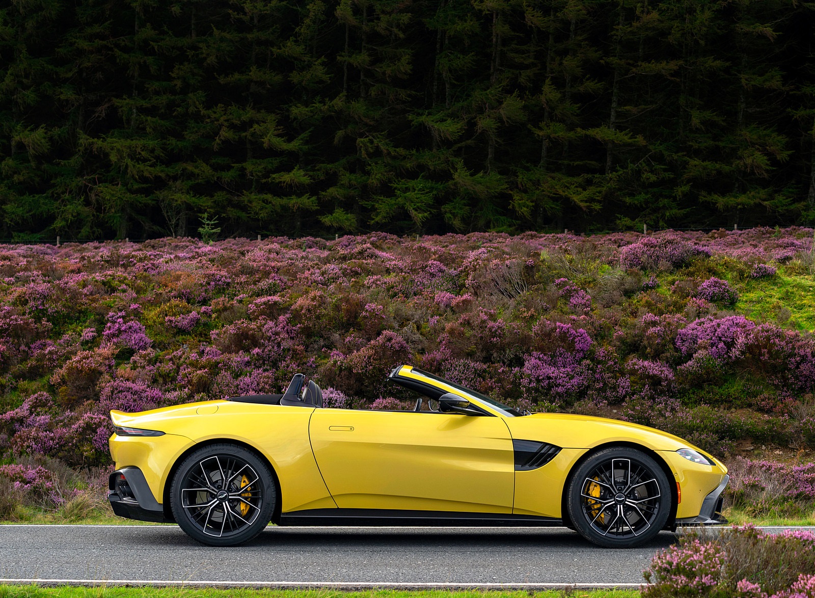 2021 Aston Martin Vantage Roadster (Color: Yellow Tang) Side Wallpapers #51 of 175