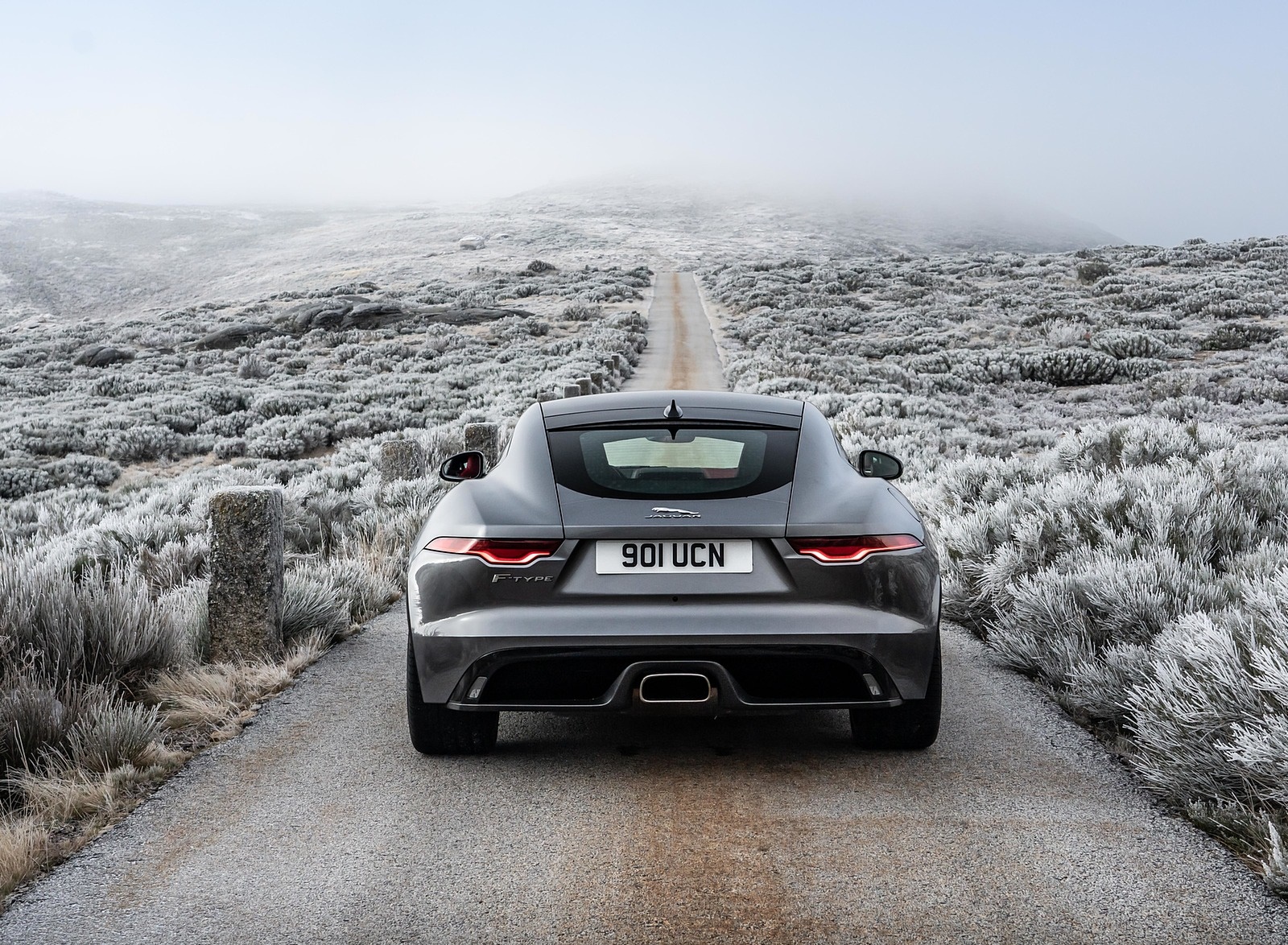 2021 Jaguar F-TYPE P300 Coupe RWD (Color: Eiger Grey) Rear Wallpapers #15 of 28