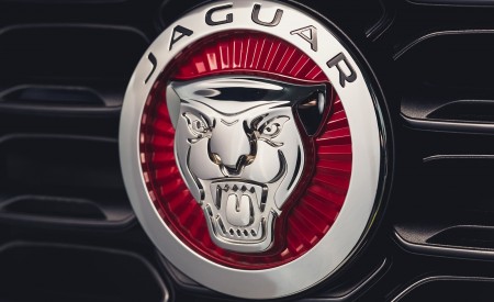2021 Jaguar F-TYPE R-Dynamic P450 Convertible RWD (Color: Fuji White) Badge Wallpapers 450x275 (23)