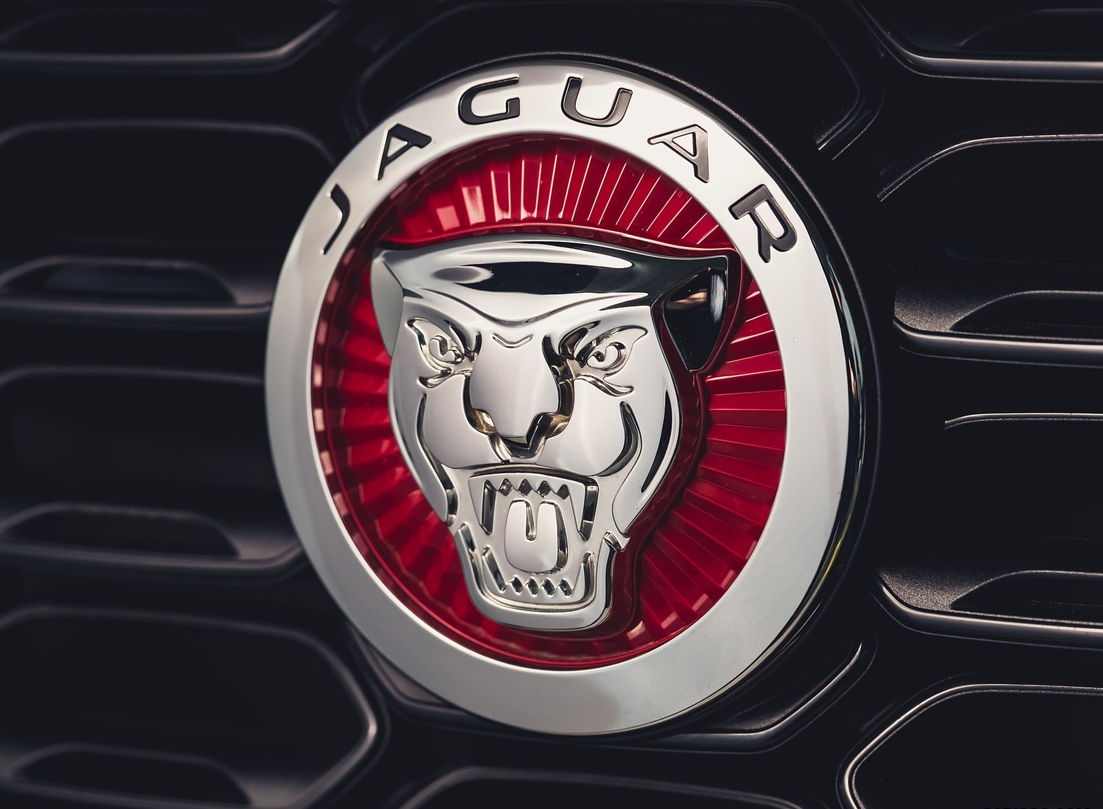 2021 Jaguar F-TYPE R-Dynamic P450 Convertible RWD (Color: Fuji White) Badge Wallpapers #23 of 30