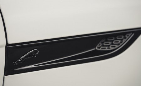 2021 Jaguar F-TYPE R-Dynamic P450 Convertible RWD (Color: Fuji White) Detail Wallpapers 450x275 (22)
