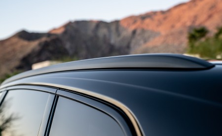 2020 Audi Q7 (US-Spec) Detail Wallpapers 450x275 (54)