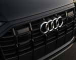 2020 Audi Q7 (US-Spec) Grill Wallpapers 150x120 (48)