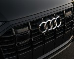 2020 Audi Q7 (US-Spec) Grill Wallpapers 150x120