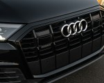 2020 Audi Q7 (US-Spec) Grill Wallpapers 150x120