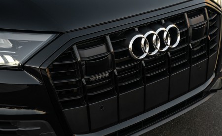 2020 Audi Q7 (US-Spec) Grill Wallpapers 450x275 (49)