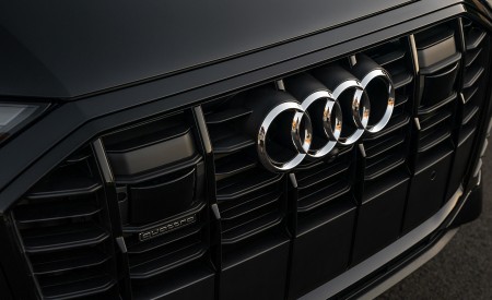 2020 Audi Q7 (US-Spec) Grill Wallpapers 450x275 (48)