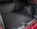 2020 Ford Kuga Hybrid ST-Line Trunk Wallpapers 150x120