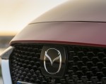 2020 Mazda2 (Color: Red Crystal) Grill Wallpapers 150x120