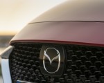 2020 Mazda2 (Color: Red Crystal) Grill Wallpapers 150x120 (89)