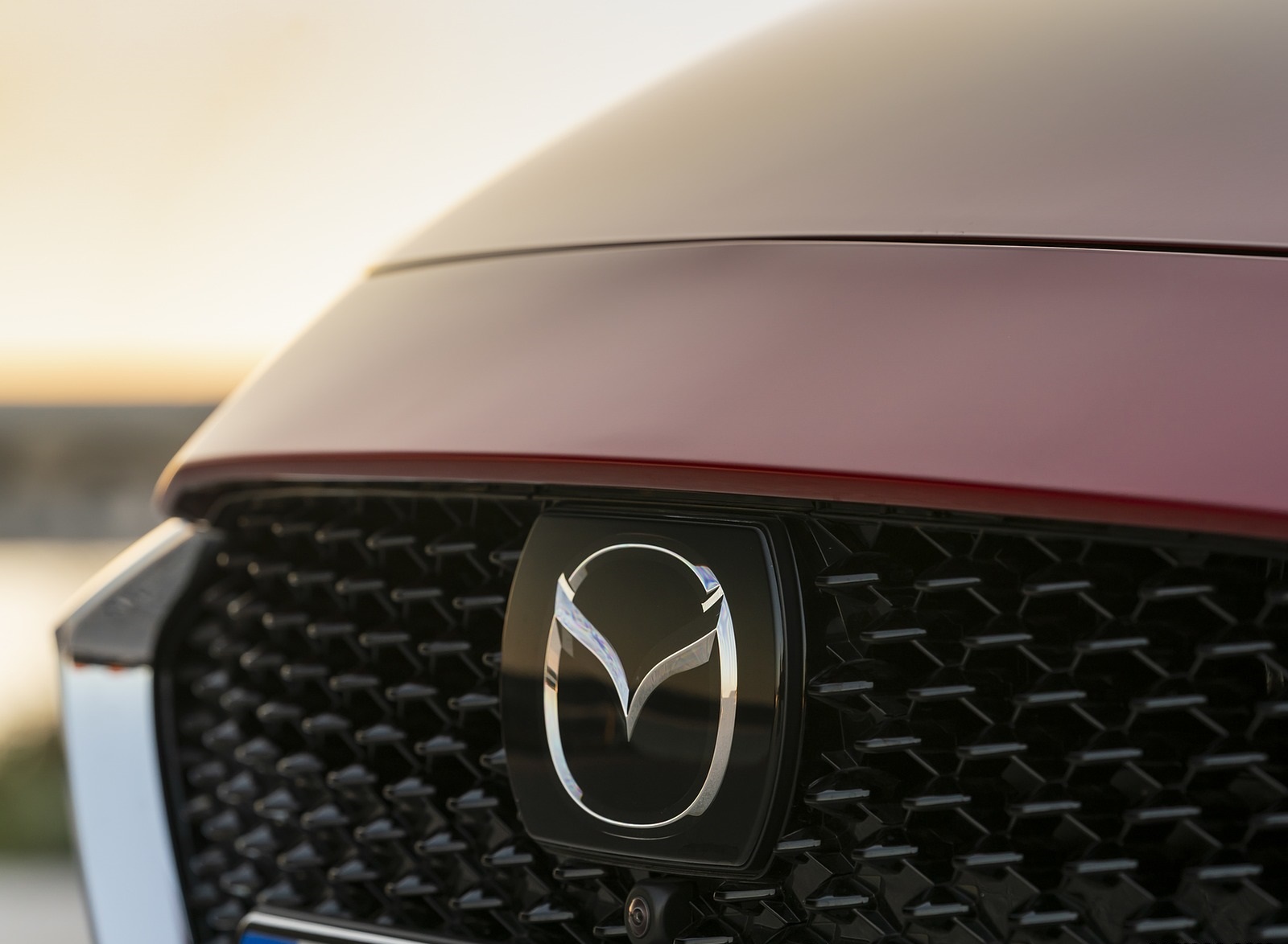 2020 Mazda2 (Color: Red Crystal) Grill Wallpapers #89 of 180