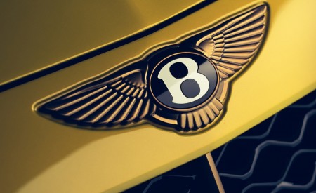2021 Bentley Mulliner Bacalar Badge Wallpapers 450x275 (9)