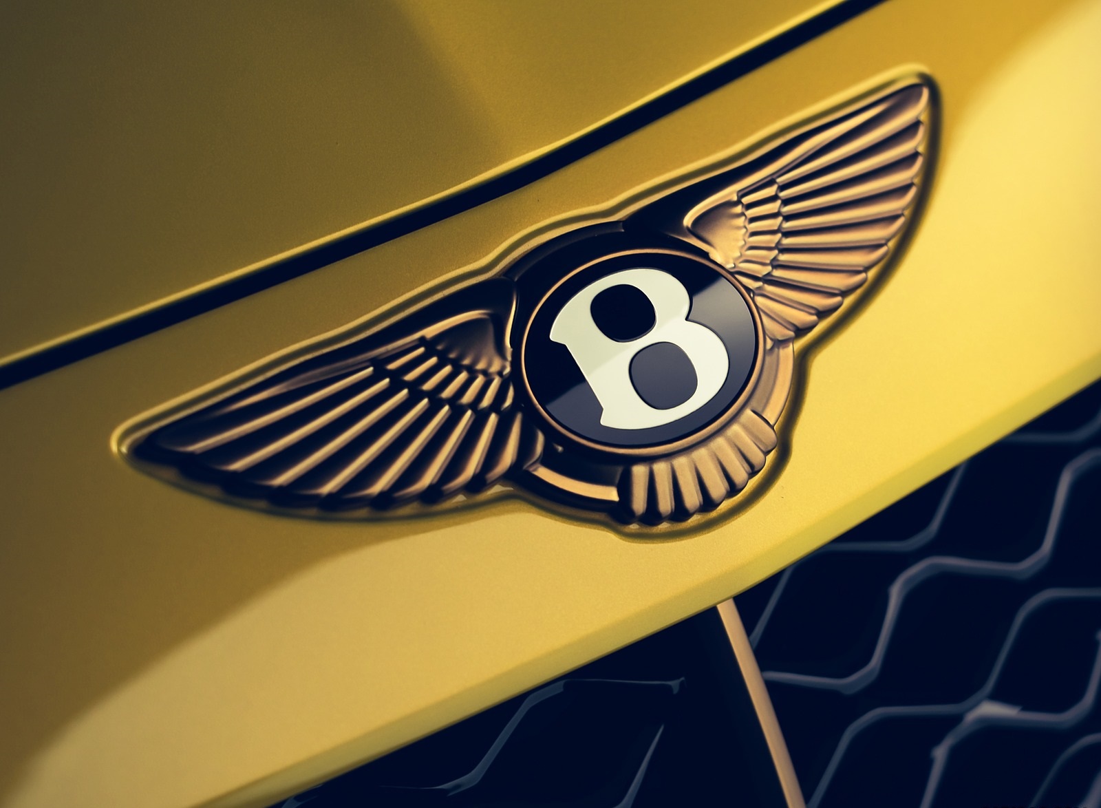 2021 Bentley Mulliner Bacalar Badge Wallpapers (9)