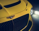 2021 Bentley Mulliner Bacalar Grill Wallpapers 150x120 (10)