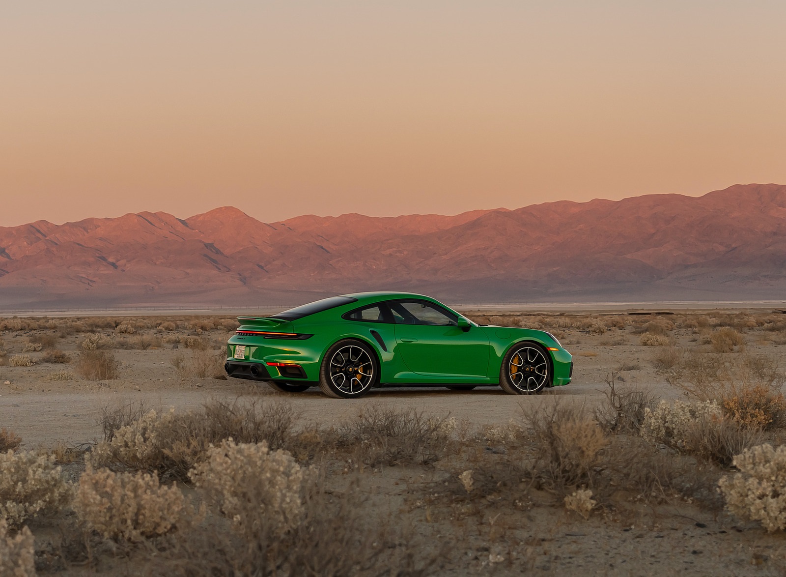 2021 Porsche 911 Turbo S Coupe (Color: Python Green) Rear Three-Quarter Wallpapers #13 of 254