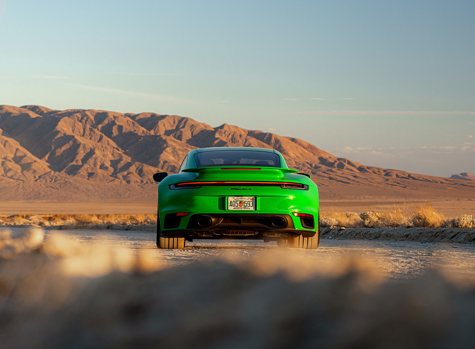 2021 Porsche 911 Turbo S Coupe (Color: Python Green) Rear Wallpapers #15 of 254