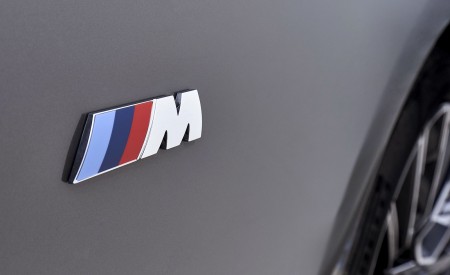 2021 BMW 6 Series Gran Turismo Badge Wallpapers 450x275 (46)