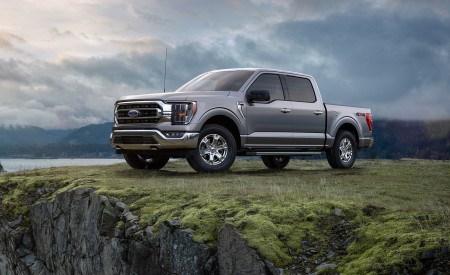 2021 Ford F-150 Platinum (Color: Iconic Silver) Front Three-Quarter Wallpapers 450x275 (20)