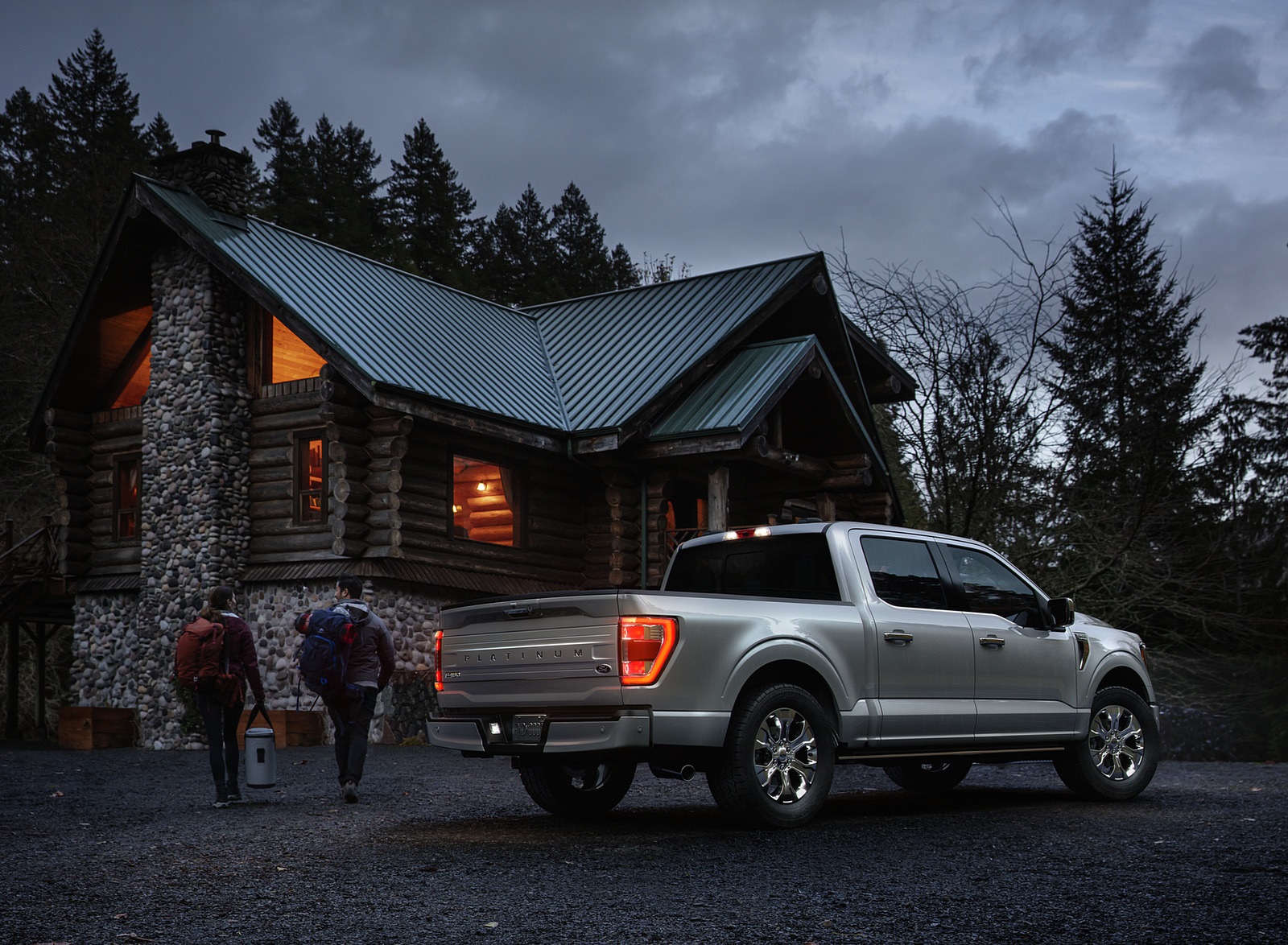 2021 Ford F-150 Platinum (Color: Iconic Silver) Rear Three-Quarter Wallpapers #21 of 46