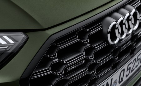 2021 Audi Q5 (Color: District Green) Grill Wallpapers 450x275 (37)