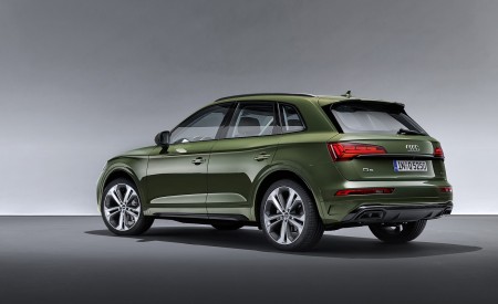 2021 Audi Q5 (Color: District Green) Rear Three-Quarter Wallpapers 450x275 (33)