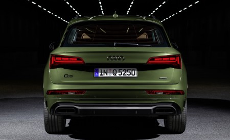 2021 Audi Q5 (Color: District Green) Rear Wallpapers  450x275 (49)
