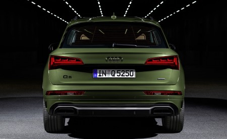 2021 Audi Q5 (Color: District Green) Rear Wallpapers  450x275 (50)