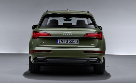 2021 Audi Q5 (Color: District Green) Rear Wallpapers 450x275 (35)