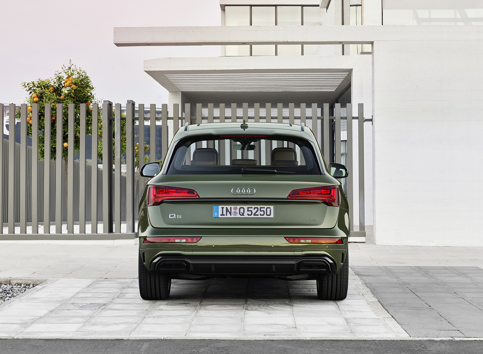 2021 Audi Q5 (Color: District Green) Rear Wallpapers (9)
