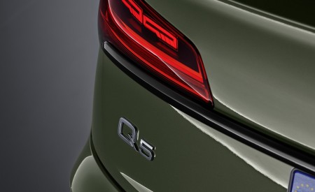 2021 Audi Q5 (Color: District Green) Tail Light Wallpapers  450x275 (39)