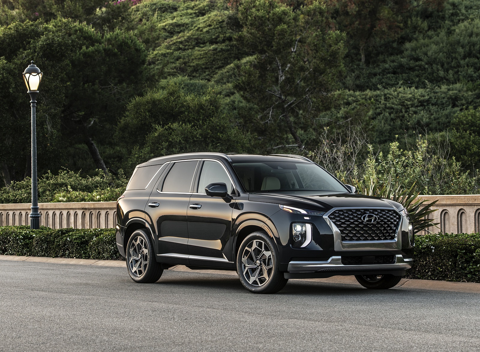 2021 Hyundai Palisade Front Three-Quarter Wallpapers (6)