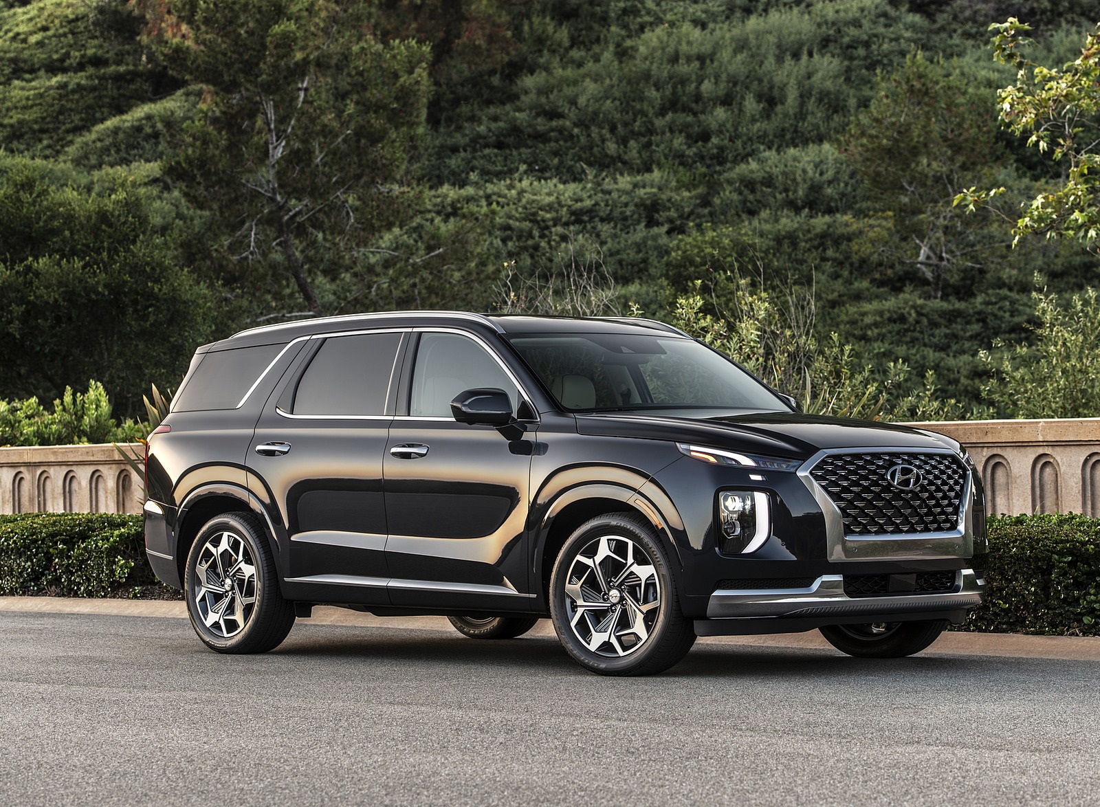 2021 Hyundai Palisade Front Three-Quarter Wallpapers (8)