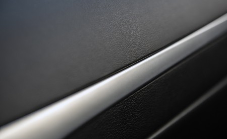 2021 Hyundai Palisade Interior Detail Wallpapers 450x275 (41)