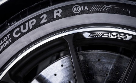 2021 Mercedes-AMG GT Black Series Detail Wallpapers 450x275 (182)