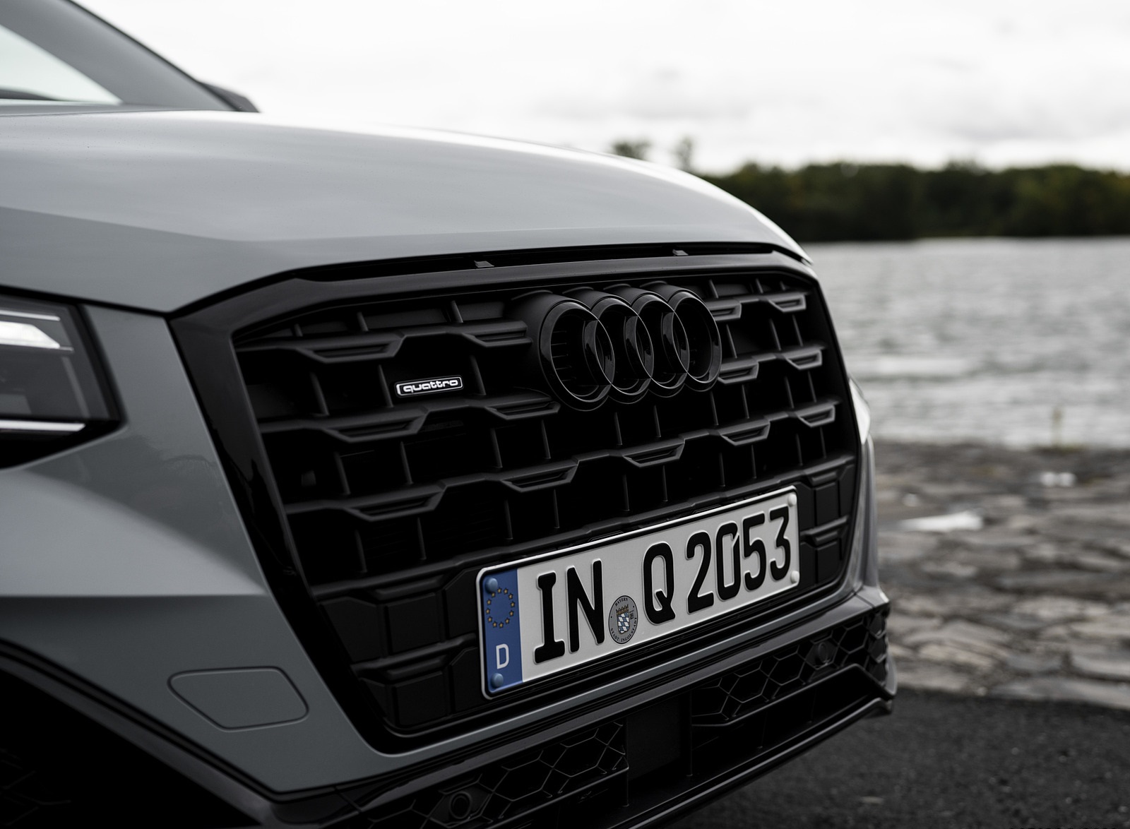 2021 Audi Q2 (Color: Arrow Gray) Grill Wallpapers #22 of 196