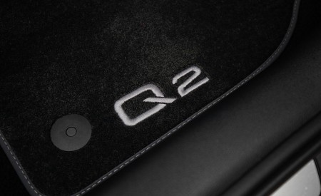 2021 Audi Q2 Detail Wallpapers 450x275 (29)