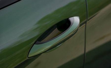 2021 Porsche Panamera 4S (Color: Mamba Green Metallic) Detail Wallpapers 450x275 (36)