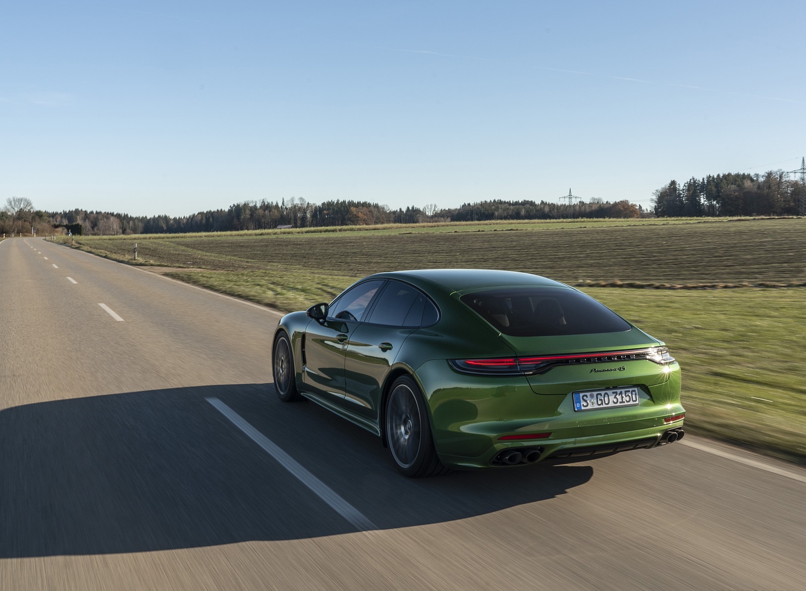 2021 Porsche Panamera 4S (Color: Mamba Green Metallic) Rear Three-Quarter Wallpapers #7 of 46