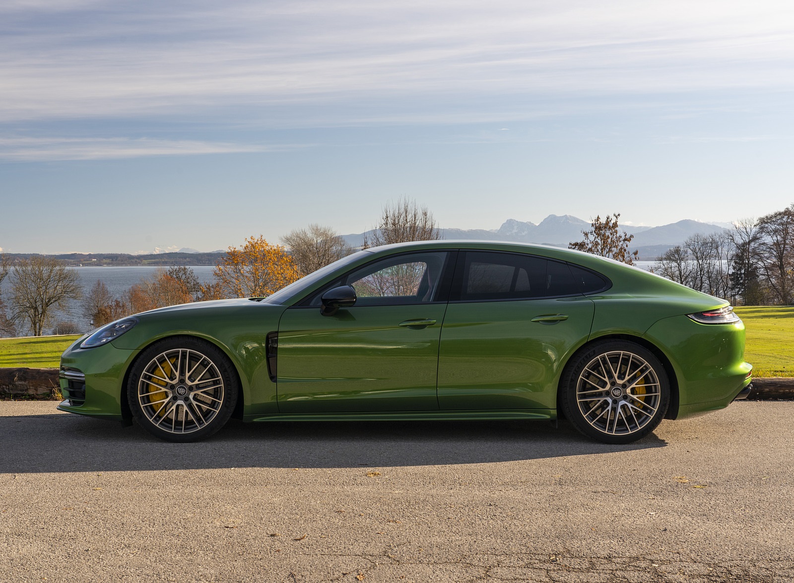 2021 Porsche Panamera 4S (Color: Mamba Green Metallic) Side Wallpapers #29 of 46