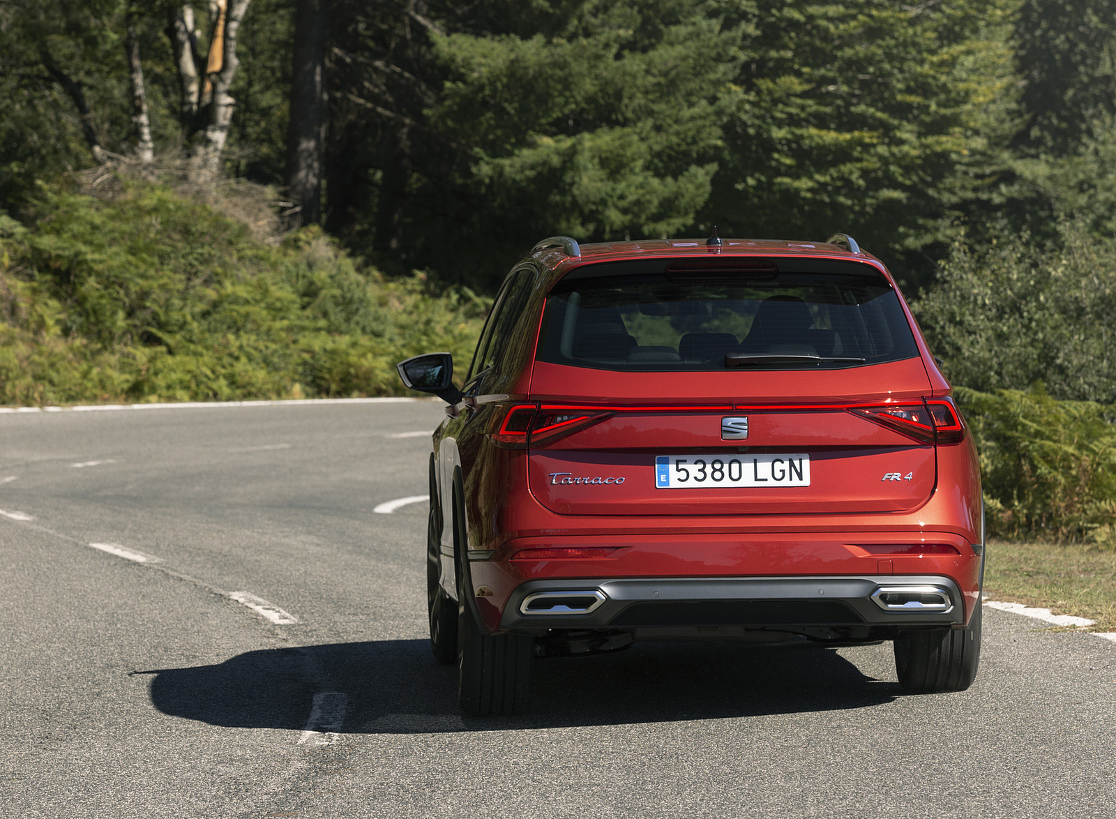 2021 SEAT Tarraco FR Rear Wallpapers #15 of 75