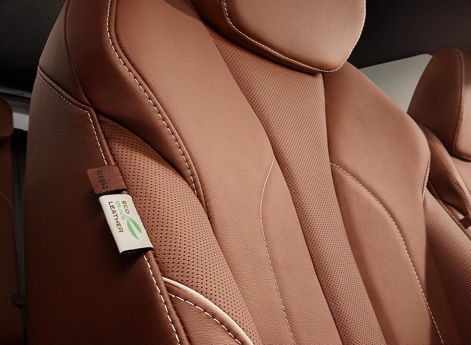 2021 Škoda ENYAQ iV Founders Edition Interior Front Seats Wallpapers #152 of 184