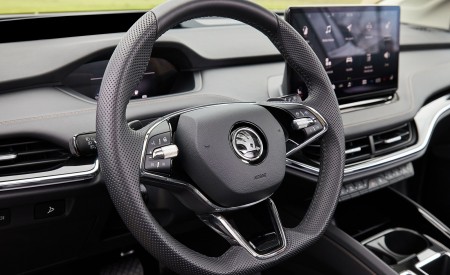 2021 Škoda ENYAQ iV Interior Steering Wheel Wallpapers 450x275 (57)