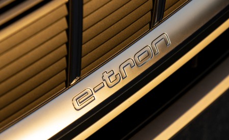 2020 Audi e-tron Sportback S-Line (US-Spec) Detail Wallpapers  450x275 (35)