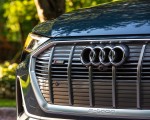 2020 Audi e-tron Sportback S-Line (US-Spec) Grille Wallpapers 150x120 (32)
