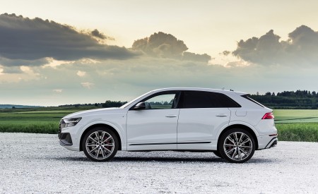 2021 Audi Q8 TFSI e Plug-In Hybrid (Color: Glacier White) Side Wallpapers 450x275 (20)