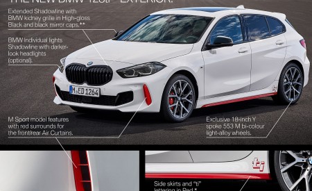 2021 BMW 128ti Infographics Wallpapers  450x275 (44)